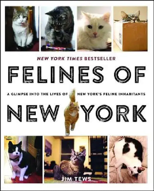 Felines of New York: A Glimpse Into the Lives of New York's Feline Inhabitants by Jim Tews