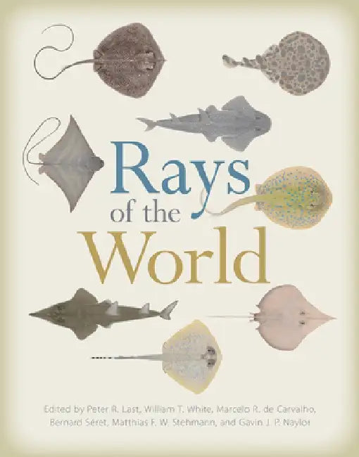 Rays of the World by Peter R. Last