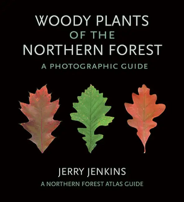 Woody Plants of the Northern Forest: A Photographic Guide by Jerry Jenkins
