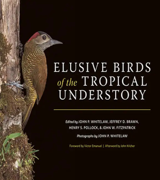 Elusive Birds of the Tropical Understory by John P. Whitelaw