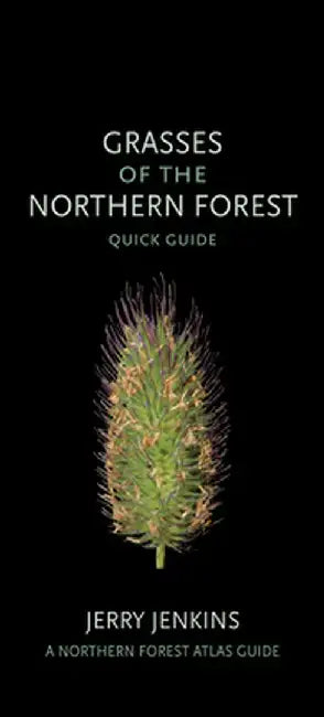 Grasses of the Northern Forest: Quick Guide by Jerry Jenkins