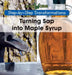 Turning SAP Into Maple Syrup by Amy Hayes