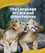 The Language of Cats and Other Felines by Alicia Z. Klepeis