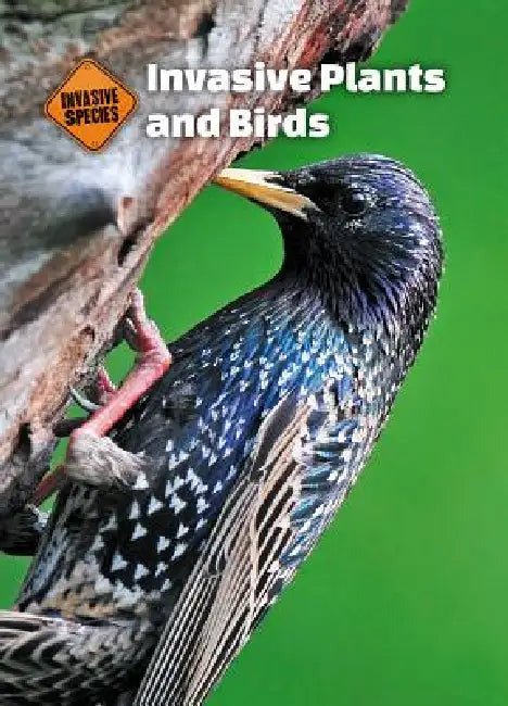 Invasive Plants and Birds by Alison Gaines