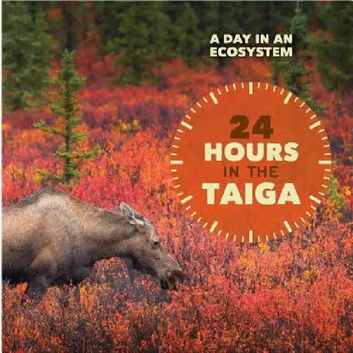 24 Hours in the Taiga by Alicia Z. Klepeis