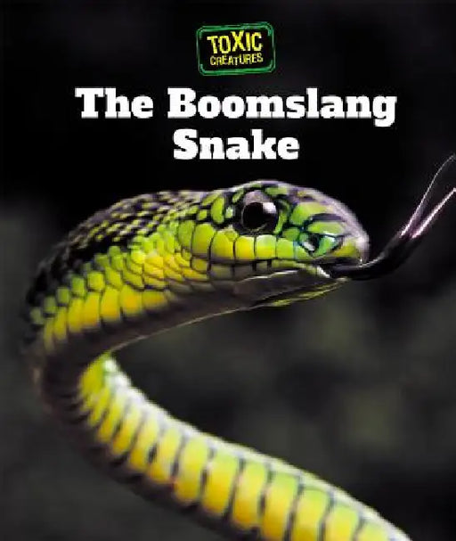 The Boomslang Snake by Alicia Z. Klepeis