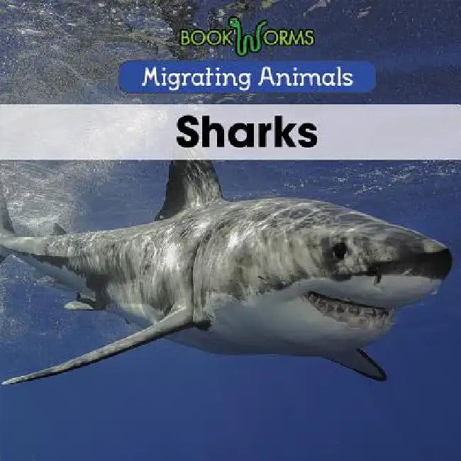 Sharks by Arthur Best