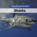 Sharks by Arthur Best