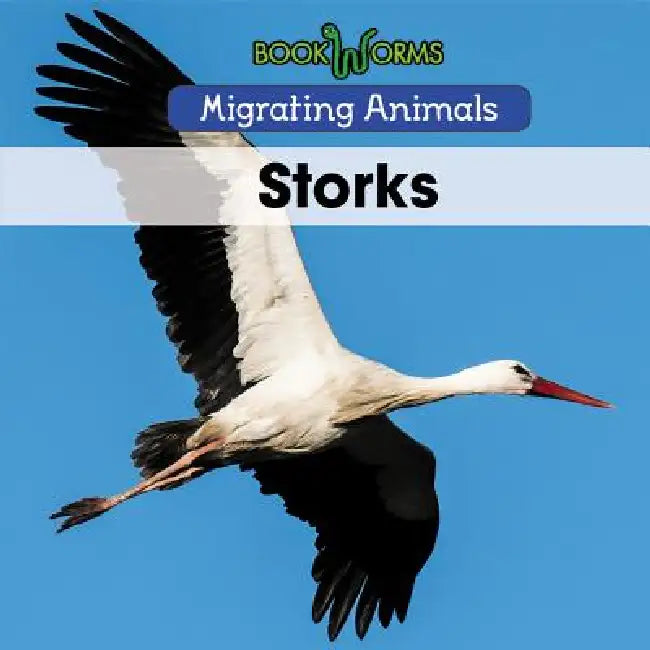 Storks by Arthur Best