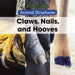 Claws, Nails, and Hooves by Heather Funk Gotlib