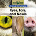 Eyes, Ears, and Noses by Derek Miller
