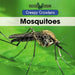 Mosquitoes by Anika Abraham