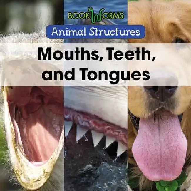 Mouths, Teeth, and Tongues by Derek Miller