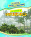 The Science of Hurricanes by Joanne Mattern