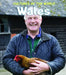 Wales by Anna Hestler