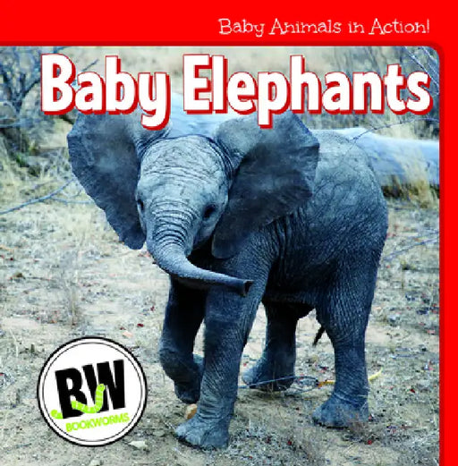 Baby Elephants by Nicole Horning