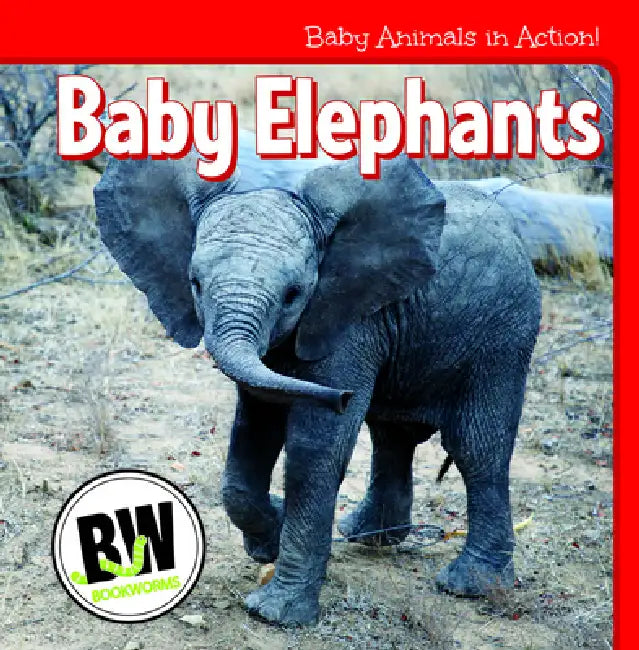 Baby Elephants by Nicole Horning