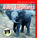 Baby Elephants by Nicole Horning