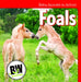 Foals by Nicole Horning