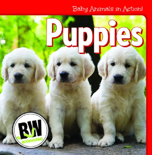 Puppies by Nicole Horning