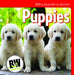 Puppies by Nicole Horning