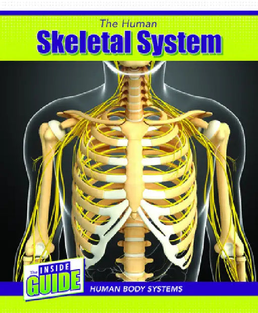 The Human Skeletal System by Cassie M. Lawton