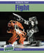 Robots That Fight by Raymie Davis