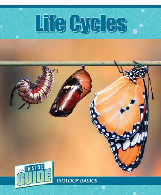 Life Cycles by Leigh McClure