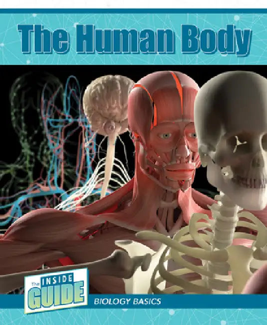The Human Body by Leigh McClure