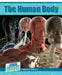 The Human Body by Leigh McClure