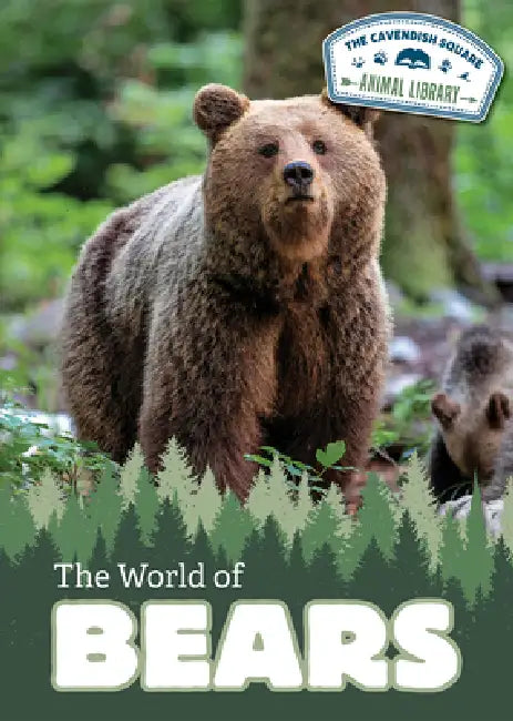 The World of Bears by Judy Thorpe