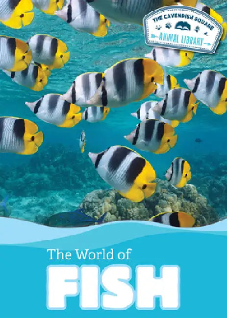The World of Fish by Judy Thorpe