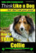 Collie, Collie Training AAA AKC Think Like a Dog But Don't Eat Your Poop! Collie Breed Expert Training: Here's EXACTLY How To TRAIN Your COLLIE by Paul Allen Pearce