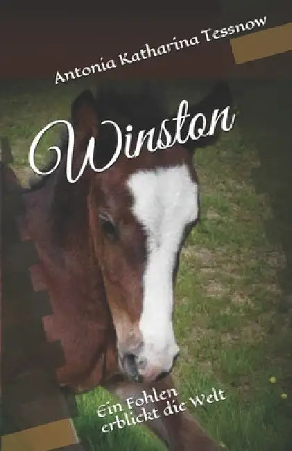 Winston: Ein Fohlen erblickt die Welt by Tessnow, Antonia Katharina