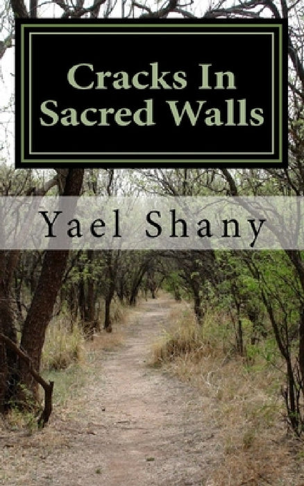 Cracks In Sacred Walls: Discover the secrets of true healing in yourself by Yael Shany