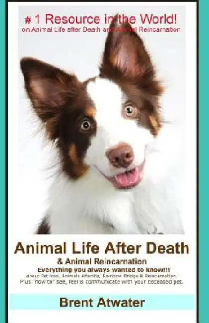 Animal Life After Death & Animal Reincarnation: Pet Loss Answers for all your heart's Questions! by Brent Atwater