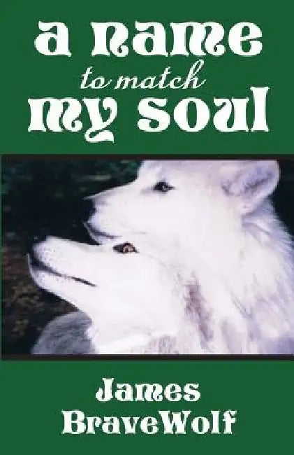 A Name to Match My Soul by Audrey Parente