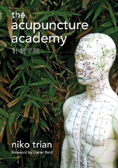 Acupuncture Academy by Niko Trian