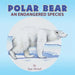 Polar Bear: An endangered species by Ejaz Ahmed