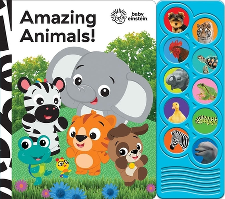 BABY EINSTEIN AMAZING ANIMALS by Mark Rader