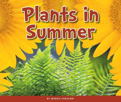 Plants in Summer by Maddie Spalding