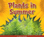 Plants in Summer by Maddie Spalding