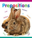 Prepositions by Ann Heinrichs