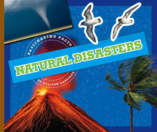 Natural Disasters by Allison Lassieur