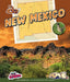 New Mexico by Heinrichs, Ann