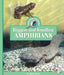 Biggest and Smallest Amphibians by Kelley Barth