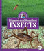 Biggest and Smallest Insects by Kelley Barth