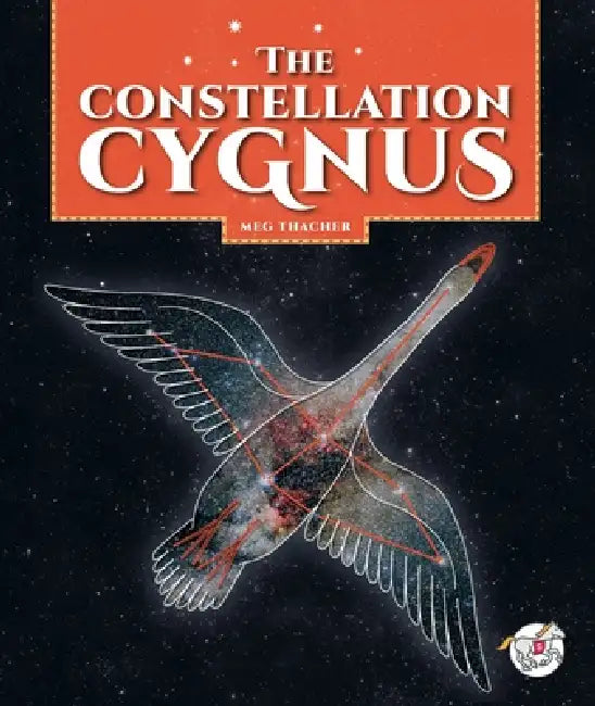 The Constellation Cygnus by Meg Thacher