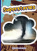 Superstorms by Kathleen Corrigan