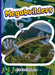 Megabuilders by Therese McNamara